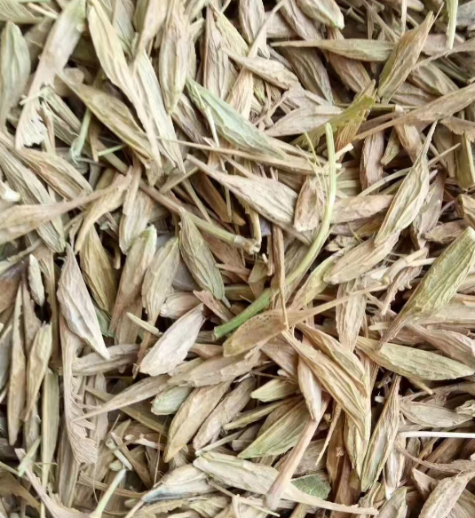 北京吉林各种树种子供应基地